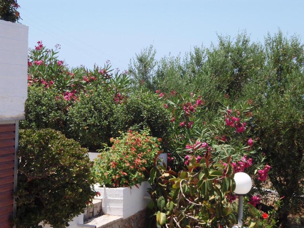Villas Michalis Хорафакия Экстерьер фото